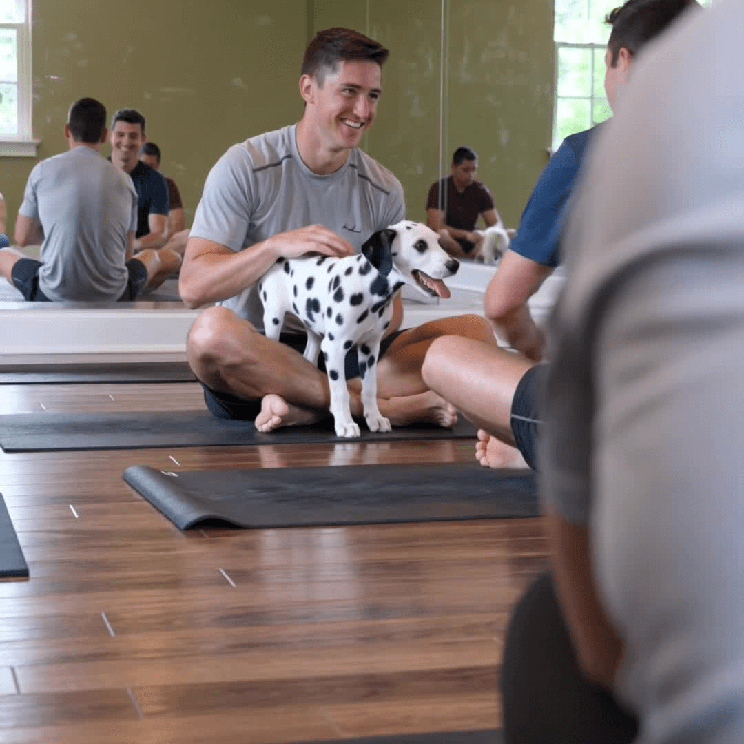 Yoga with puppies
