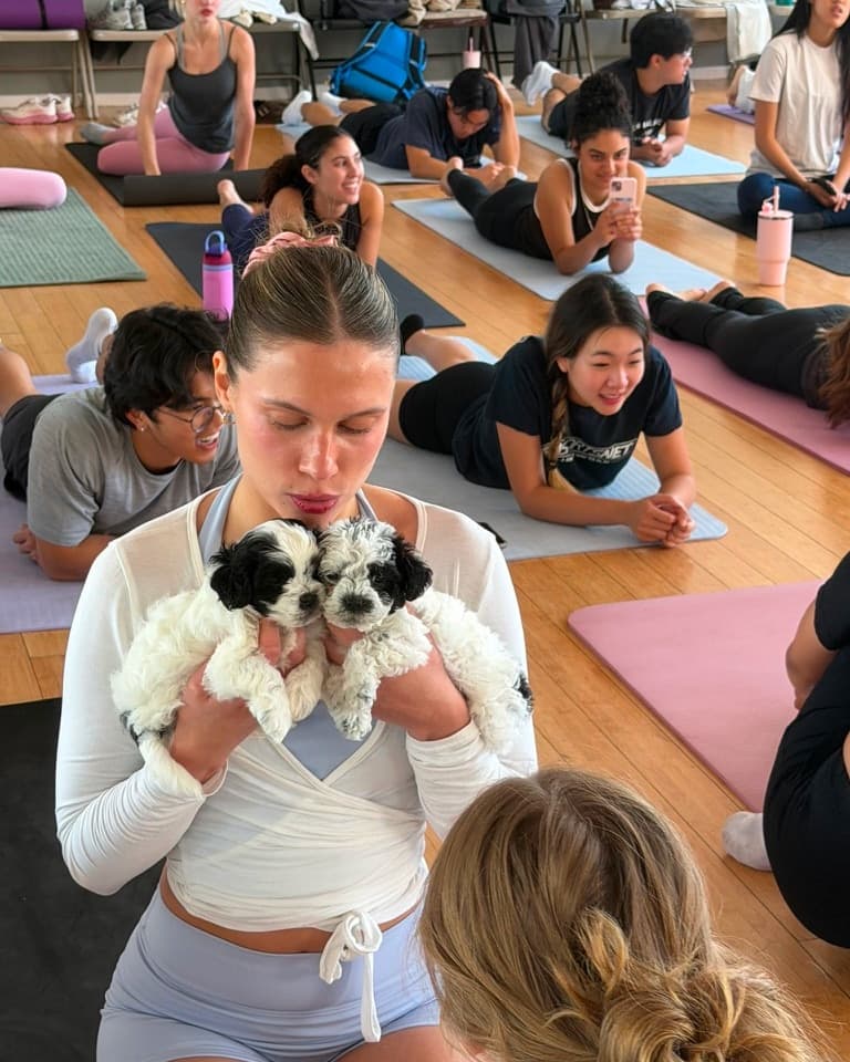A guest calmly holding two puppies during a supervised Westwood class