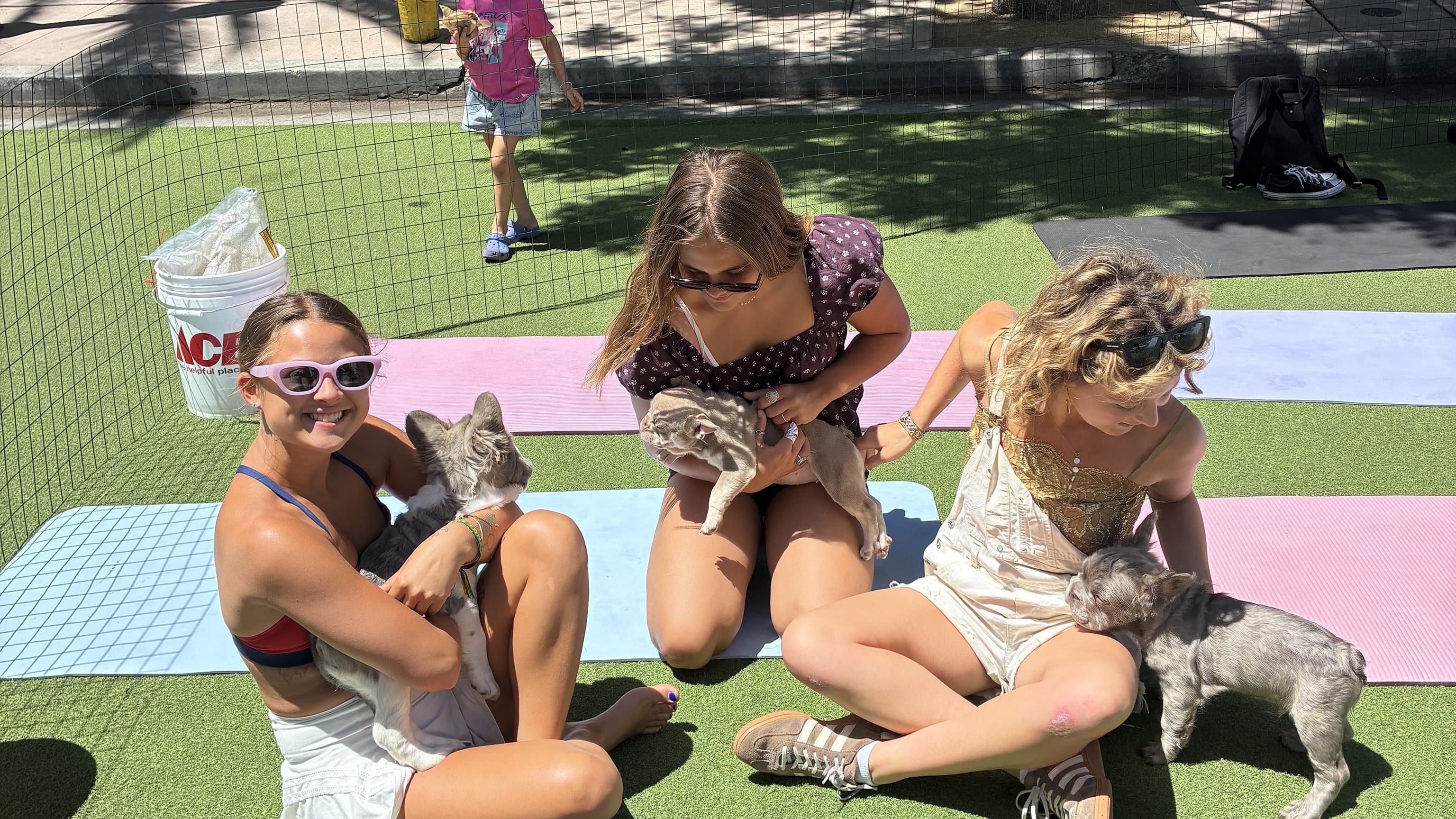 Los Angeles community members sitting together and interacting with puppies outdoors