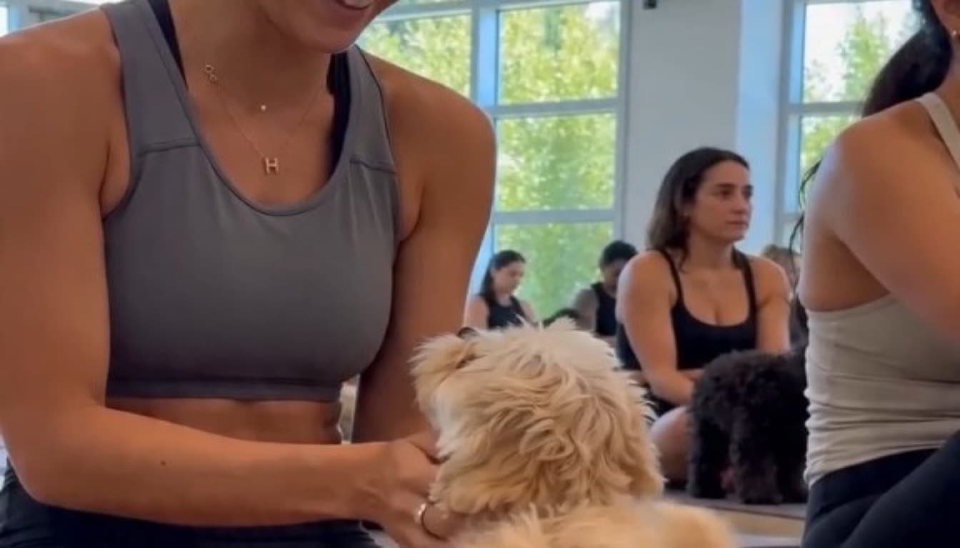 Playful puppies during a first puppy yoga class at Puppy & Flow