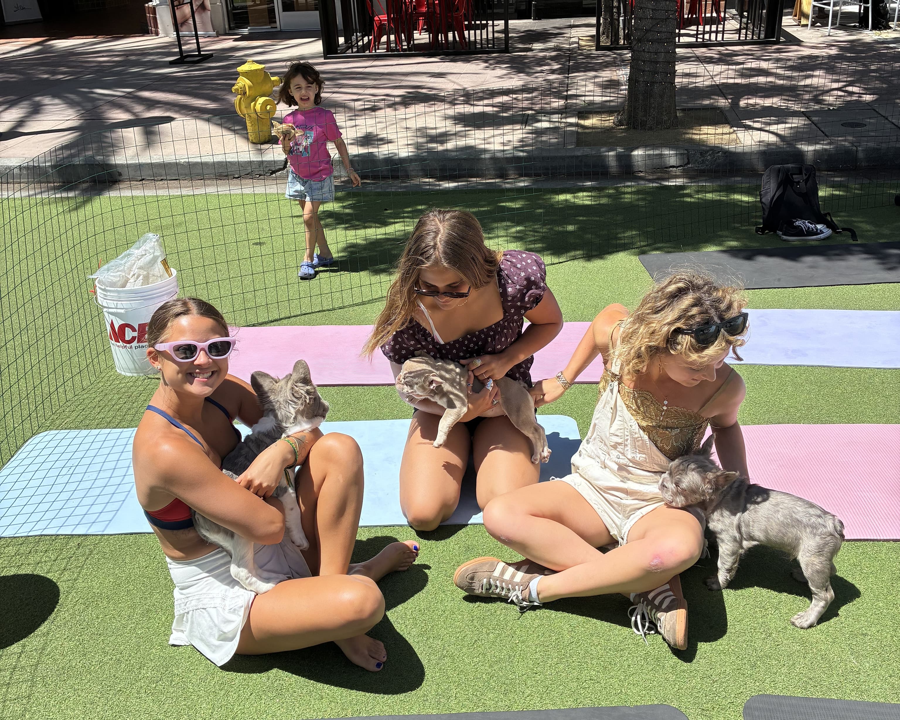 Private puppy yoga group event