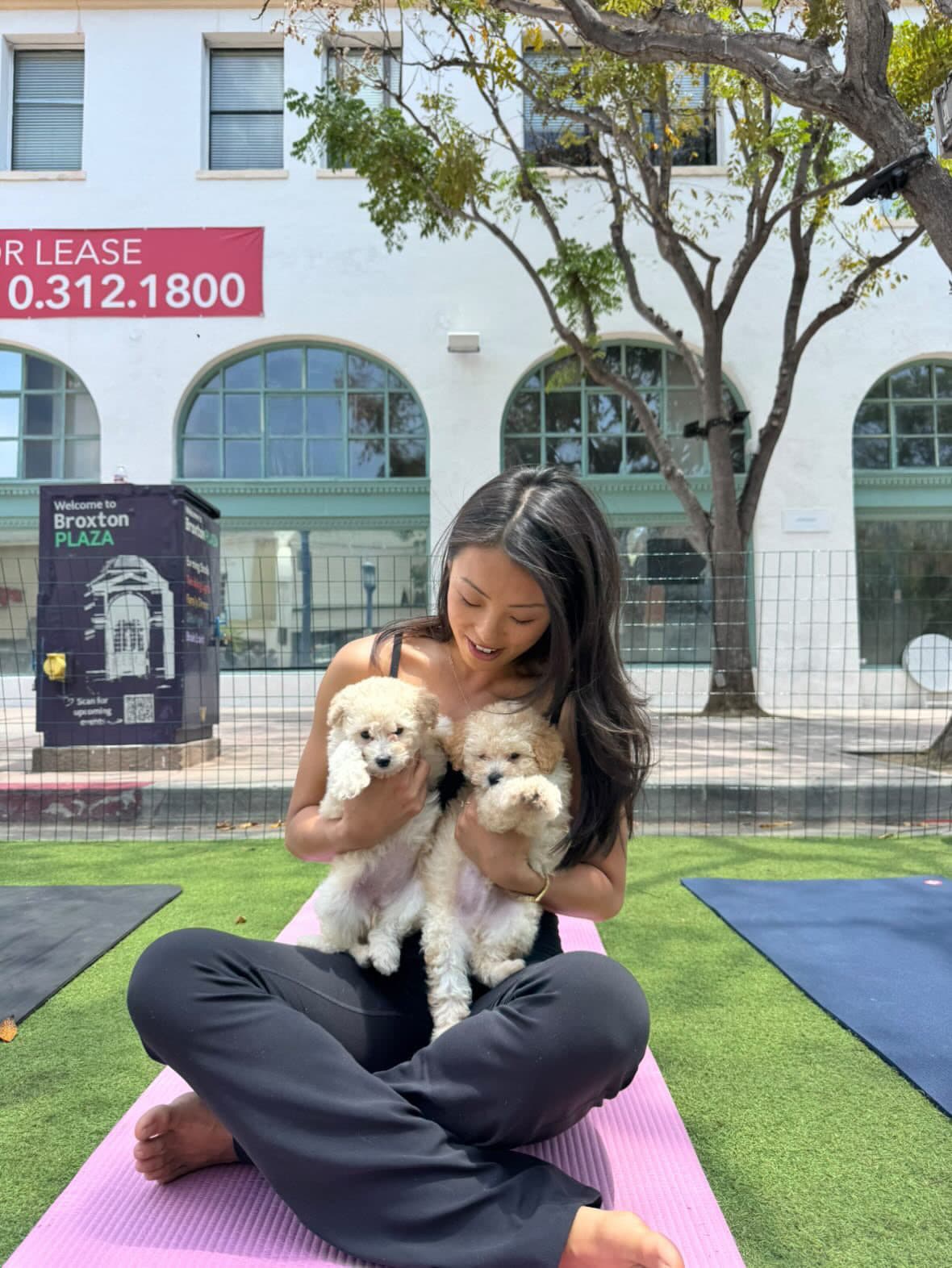 A happy puppy at a Puppy & Flow class