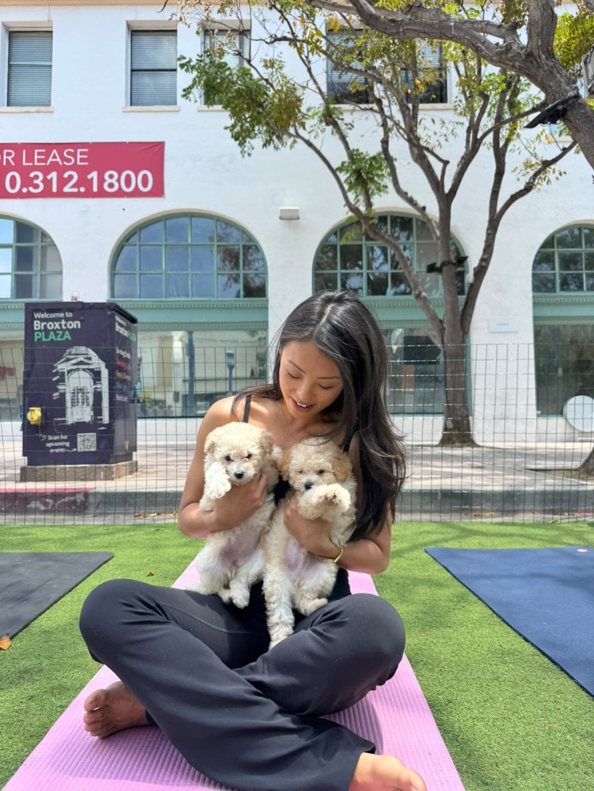 A guest sitting calmly with two puppies in a supervised Westwood class area