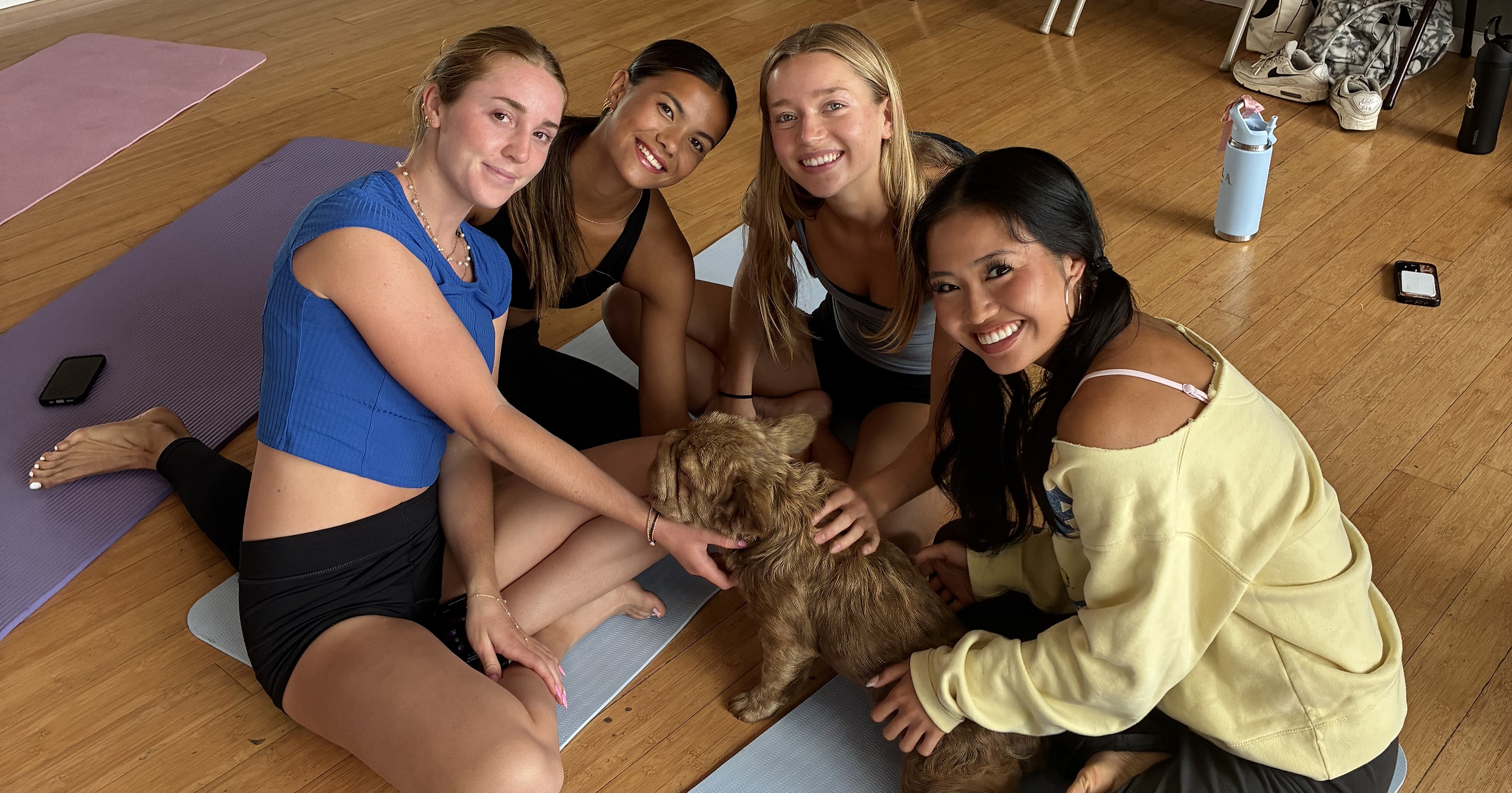 Puppy & Flow in Westwood